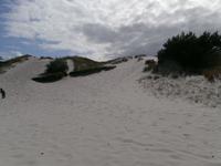 Bornholm Dueodde weißer Strand an der Südspitze