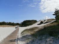 Bornholm Dueodde weißer Strand an der Südspitze