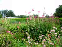 Bosjökloster (Kräutergarten) 