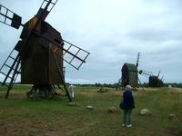 Rundfahrt auf der Insel Öland 
