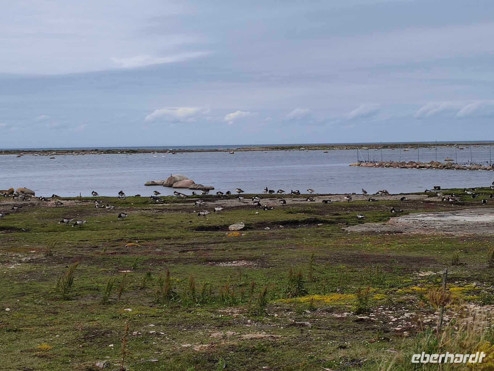 051-Oeland Vogelstation