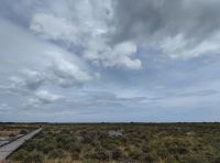 056-Oeland Store-Alvaret