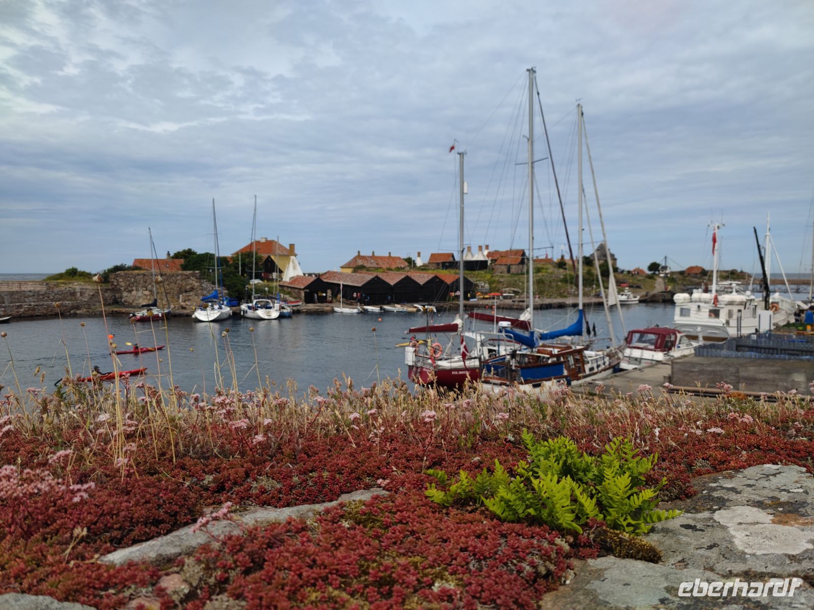 109-Erbseninseln Christiansoe