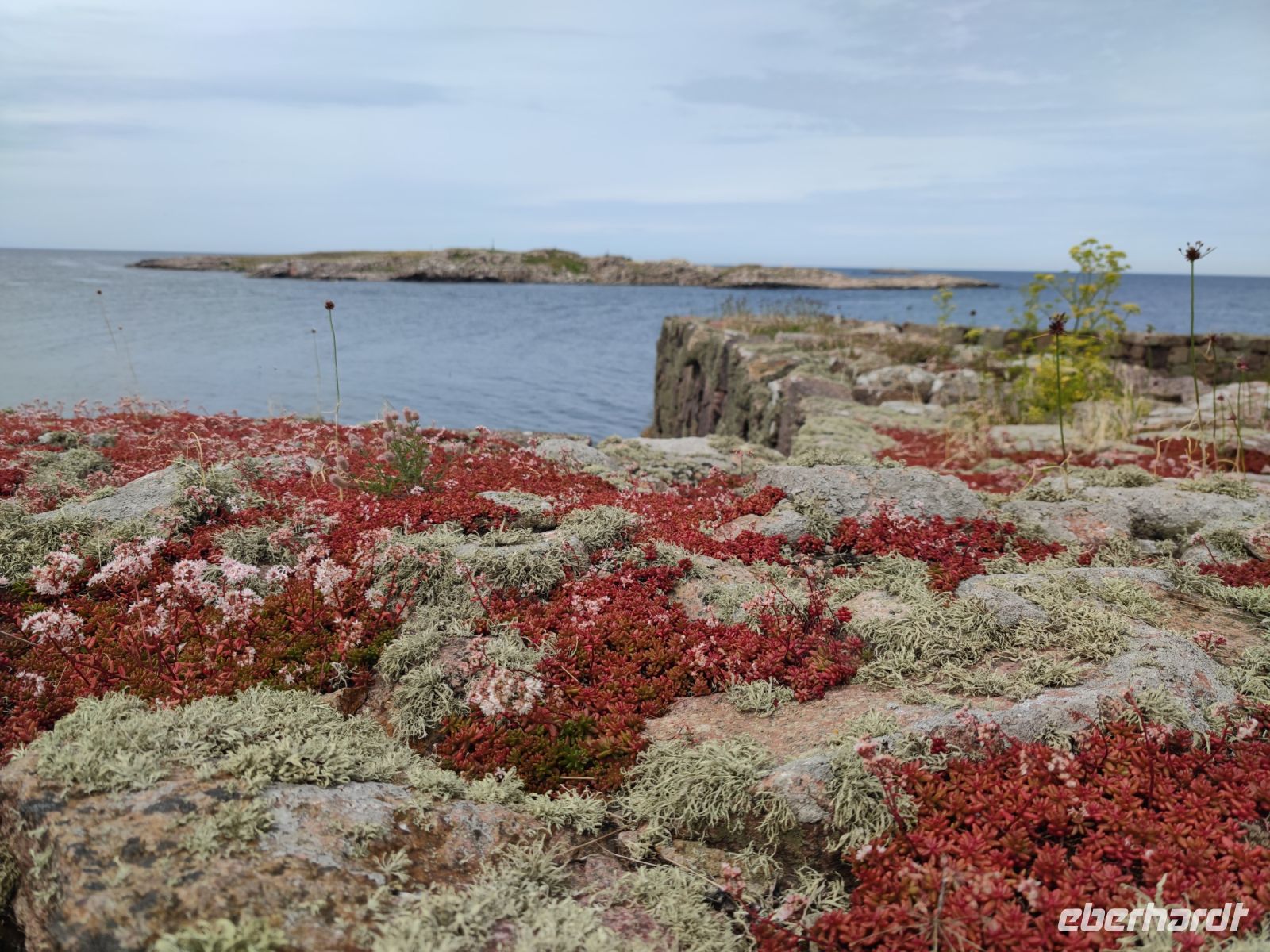 114-Erbseninseln Frederiksoe