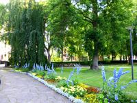 Rückweg durch die Parkanlage