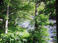 Zwischenstopp an Schwedens berühmten Lachsfluß