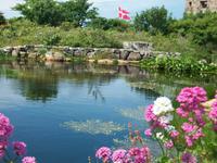 Besuch der Erbseninseln