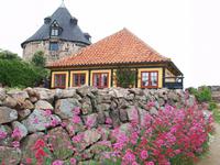 Besuch der Erbseninseln