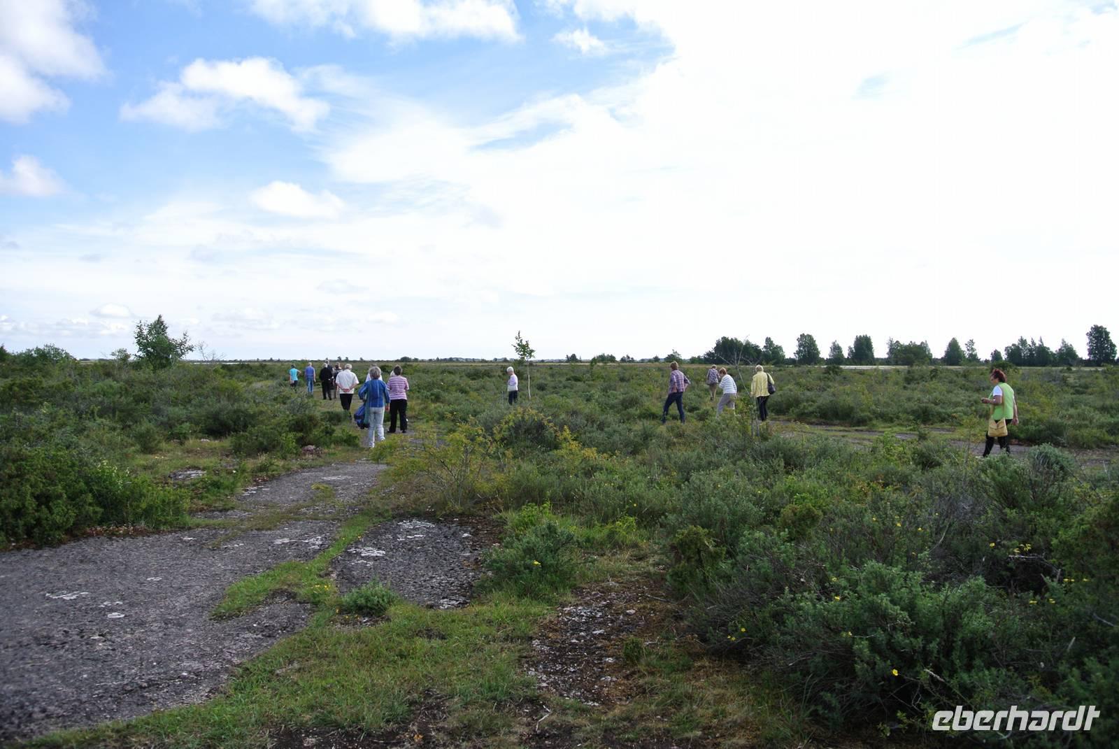 Steppe auf der Insel Öland