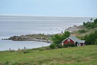 Felsenstrand auf der Insel Öland