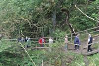 Hellingdomklippen auf Bornholm