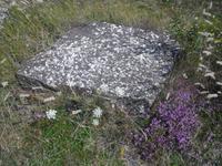 Öland - Karstlandschaft Stora Alvaret