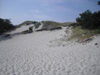 Ostseestrand in Dueodde