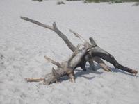 Ostseestrand in Dueodde