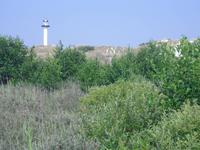 Leuchtturm bei Dueodde