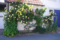 Borgholm auf Öland