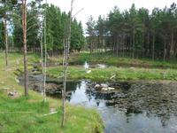 Elchpark Grönasen