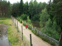 Elchpark Grönasen
