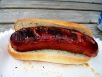 Elchwurst vom Grill