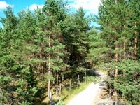 Im Elchpark