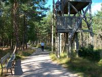 Im Elchpark