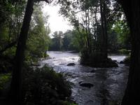 In Mörrum