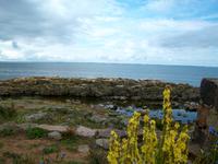 Insel Frederiksö