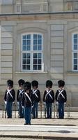 Kopenhagen Schloss Amalienborg Wachablösung