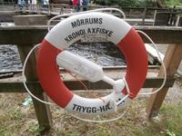 Mörrum Lachstreppe