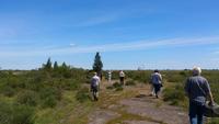 Steppe auf Öland