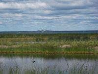 Ölandsbrücke