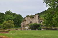 Alvastra Klosterruine