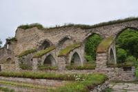 Alvastra Klosterruine