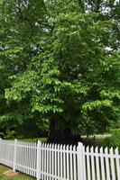 Geburtsort Astrid Lindgrens in Näs in Vimmerby 