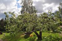 Katthult - Original Drehort von Michel aus Lönneberga