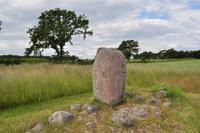 Karlevisten auf Öland