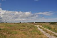 Alvaret - Hochebene auf Öland