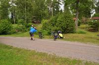 Radetappe - Rund um den Törn