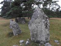 Schiffssetzung auf Gotland