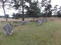 Schiffssetzung auf Gotland