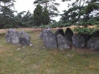 Gräberfeld auf Gotland