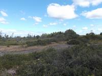 Karst- und Heidelandschaft 