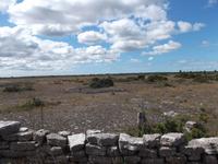 Karst- und Heidelandschaft 
