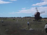 Gräberfeld bei Gettling