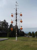 für die Aland-Inseln typisch geschmückter Mittsommernachtsbaum