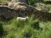 Alandinseln_Karlsgarden (1)