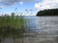 Aland bei Sandösund