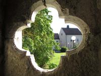 Maulbeerbaum neben St. Helge And in Visby