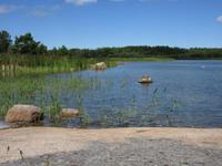 Rappakiwi Granit auf Aland