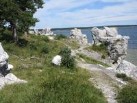 Rauksteine bei St.Olofsholm Gotland